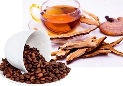 قهوه گانودرما از کجا تهیه کنیم؟
