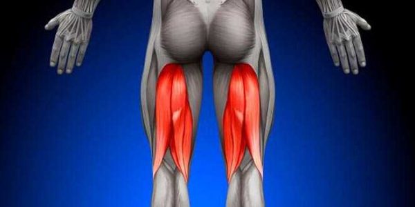 چه دلایلی باعث درد کشاله ران میشود؟