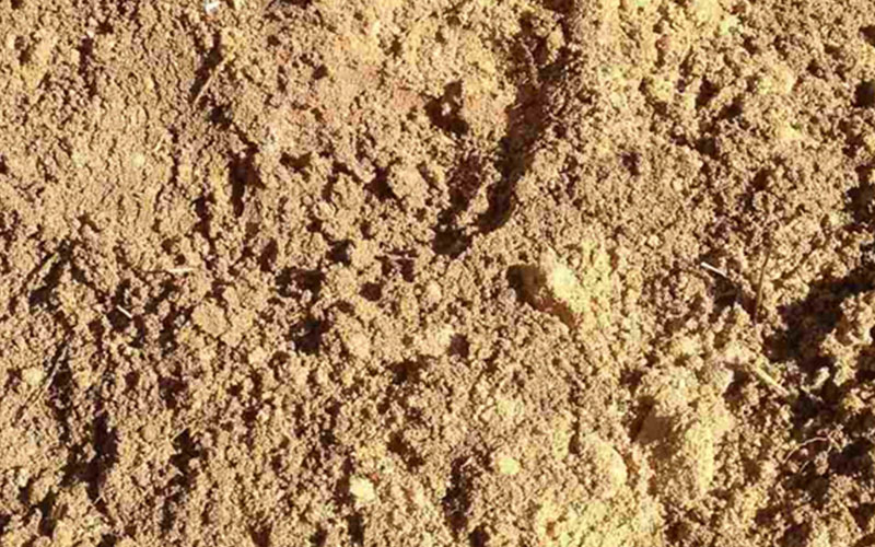 چالش های صادرات سیمان به کشورهای همسایه: فرصت ها و موانع پیش رو