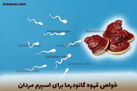 گانودرما | قهوه قهوه گانودرما برای تقویت اسپرم: فواید و اثرات آن