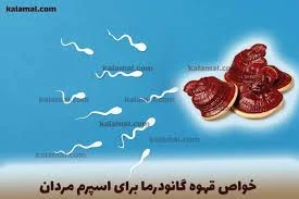 قهوه گانودرما برای تقویت اسپرم: فواید و اثرات آن